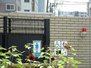 o2132s.jpg 800x600 216KB 