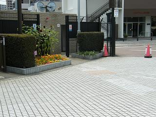 o2134s.jpg 800x600 225KB 