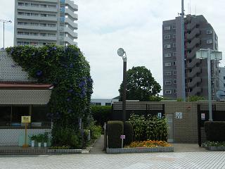 o2137s.jpg 800x600 171KB 