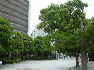 o2151s.jpg 800x600 227KB 