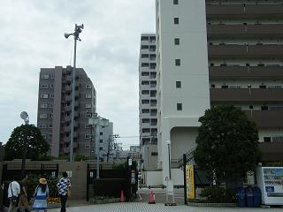 o2161s.jpg 800x600 124KB 