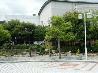 o2169s.jpg 800x600 221KB 