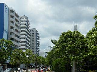 o2171s.jpg 800x600 170KB 