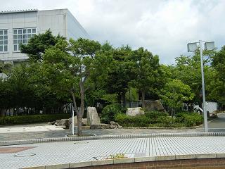 o2173s.jpg 800x600 214KB 