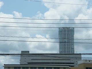 o2045s.jpg 800x600 99KB 