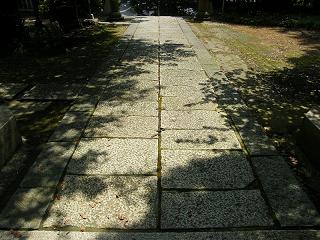 02010s.jpg 800x600 238KB 