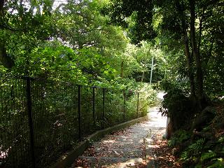 02020s.jpg 800x600 308KB 