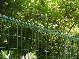 02023s.jpg 800x600 321KB 