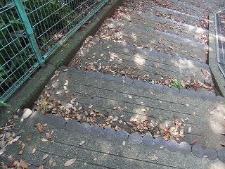 02024s.jpg 800x600 280KB 