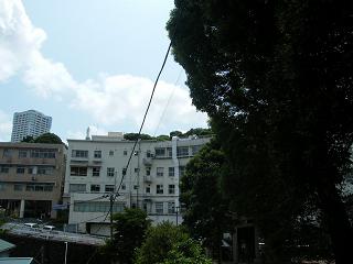 02025s.jpg 800x600 131KB 