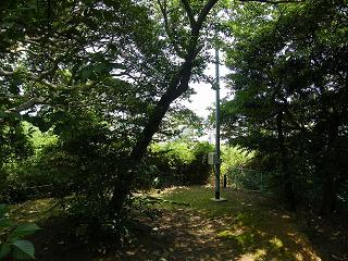 02030s.jpg 800x600 292KB 