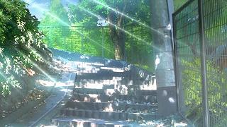 o2011.jpg 512x288 70KB 
