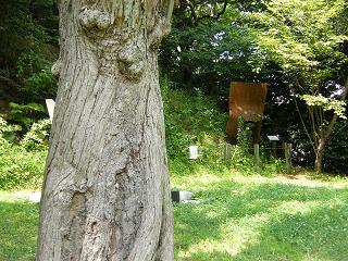 o2013s.jpg 800x600 308KB 