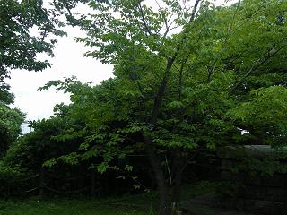 o2019s.jpg 800x600 227KB 
