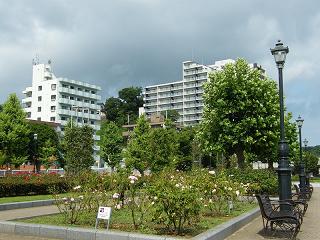 o1003s.jpg 800x600 219KB 