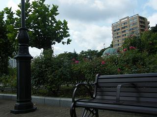o1004s.jpg 800x600 176KB 
