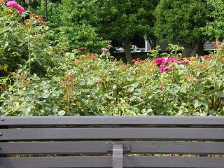 o1005s.jpg 800x600 271KB 