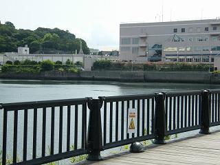 o1015s.jpg 800x600 162KB 