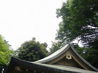 11012s.jpg 800x600 183KB 