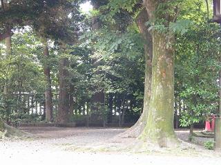 11014s.jpg 800x600 239KB 