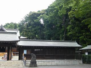 11018s.jpg 800x600 191KB 