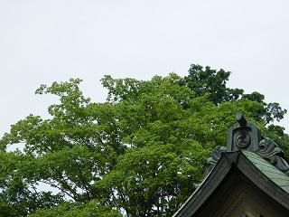 11019s.jpg 800x600 194KB 