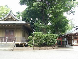 11020s.jpg 800x600 227KB 