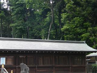 11027s.jpg 800x600 208KB 