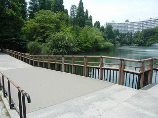 01058-s.jpg 800x600 199KB 