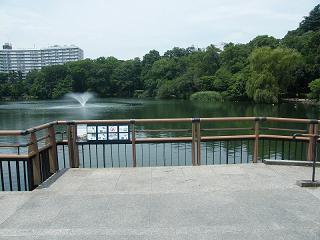 01058s.jpg 800x600 174KB 