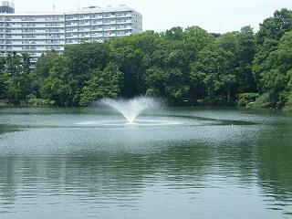 01059s.jpg 800x600 210KB 