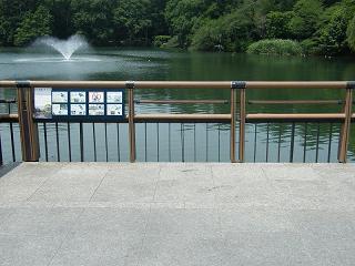 01061s.jpg 800x600 197KB 