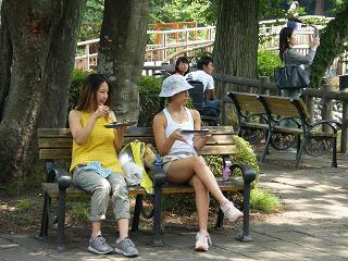 01065s.jpg 800x600 254KB 