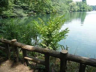 01066s.jpg 800x600 253KB 