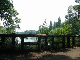 01068s.jpg 800x600 199KB 