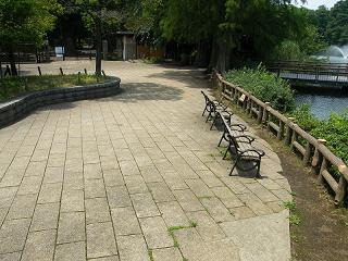 01076s.jpg 800x600 245KB 