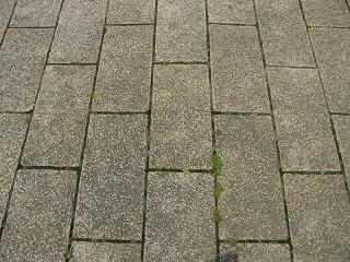 01077s.jpg 800x600 302KB 