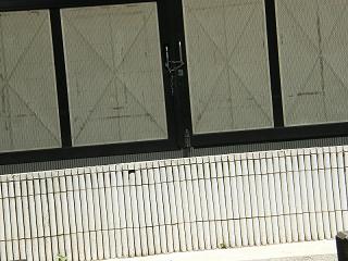 01081s.jpg 800x600 225KB 