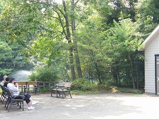 01087s.jpg 800x600 279KB 