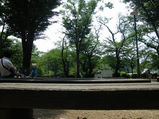 01089s.jpg 800x600 236KB 