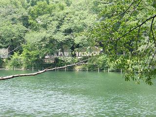 12130s.jpg 800x600 307KB 