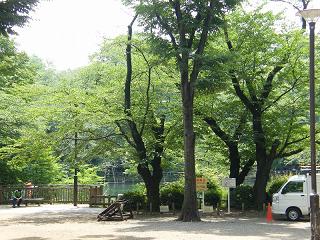 12131s.jpg 800x600 282KB 