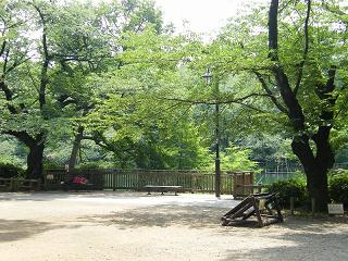 12132s.jpg 800x600 283KB 