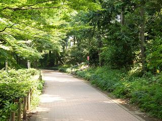 01039s.jpg 800x600 291KB 