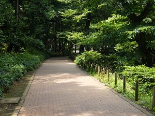 01041s.jpg 800x600 237KB 