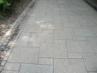 01042s.jpg 800x600 254KB 