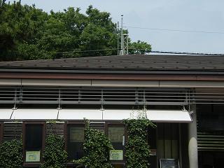 01043s.jpg 800x600 162KB 