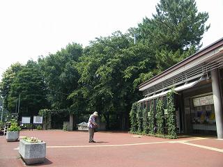 01049s.jpg 800x600 206KB 