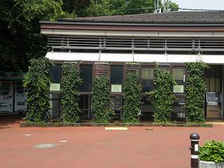 01050s.jpg 800x600 209KB 