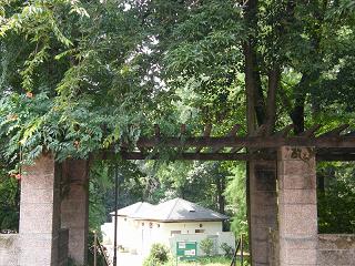 01051s.jpg 800x600 283KB 